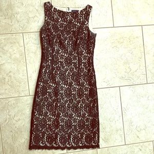 Ann Taylor Lace Dress